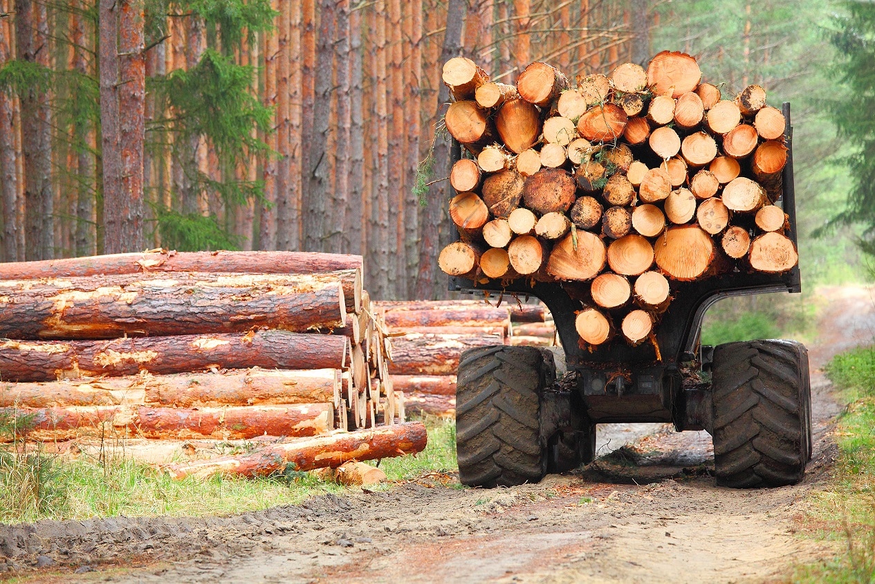 logging timber truck