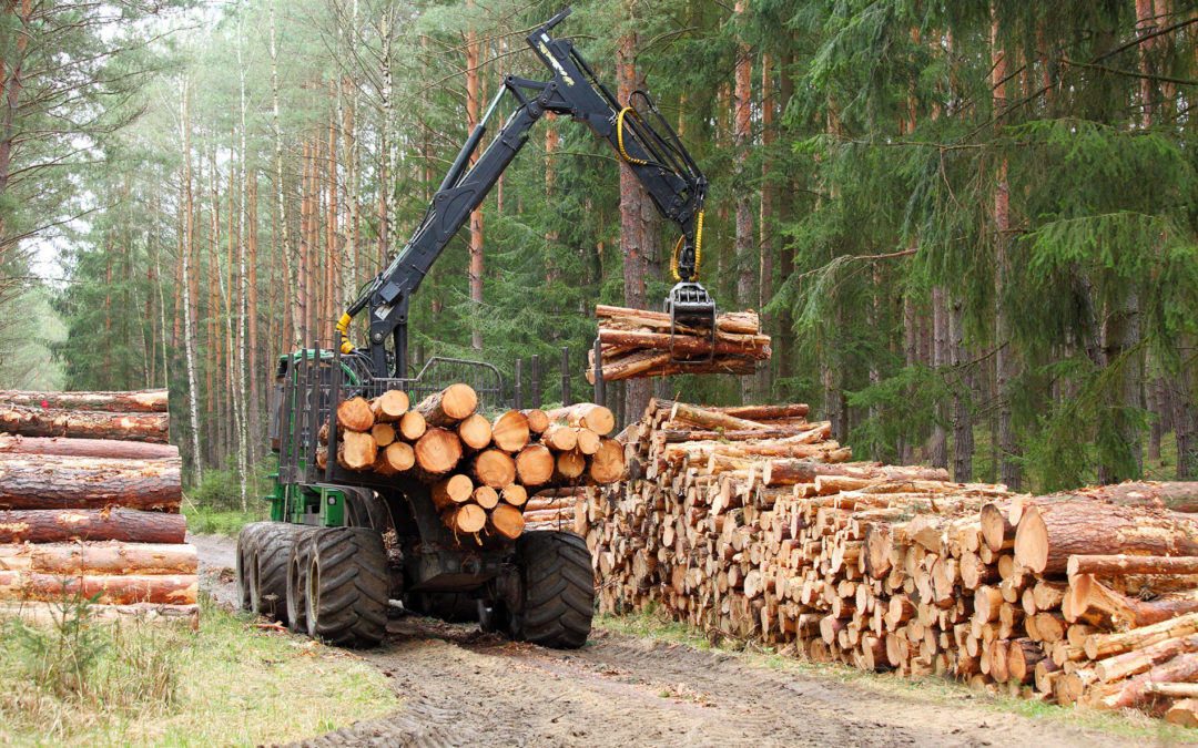 4 Advantages of Mass Timber Prefab