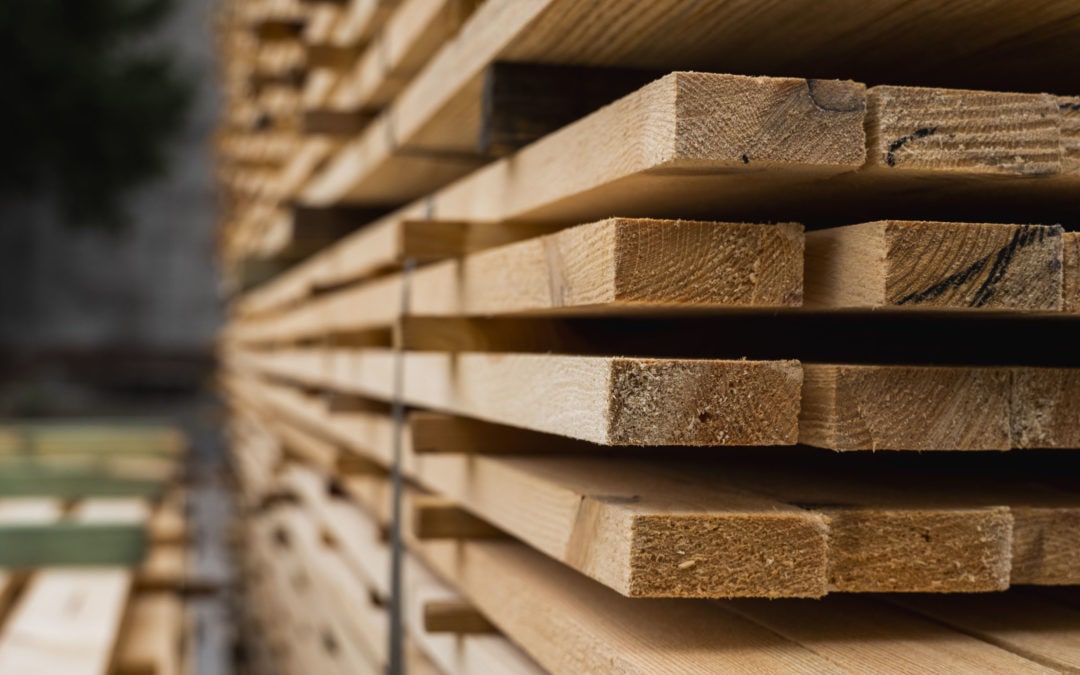 What Kind of Wood Is Used in Mass Timber Construction?