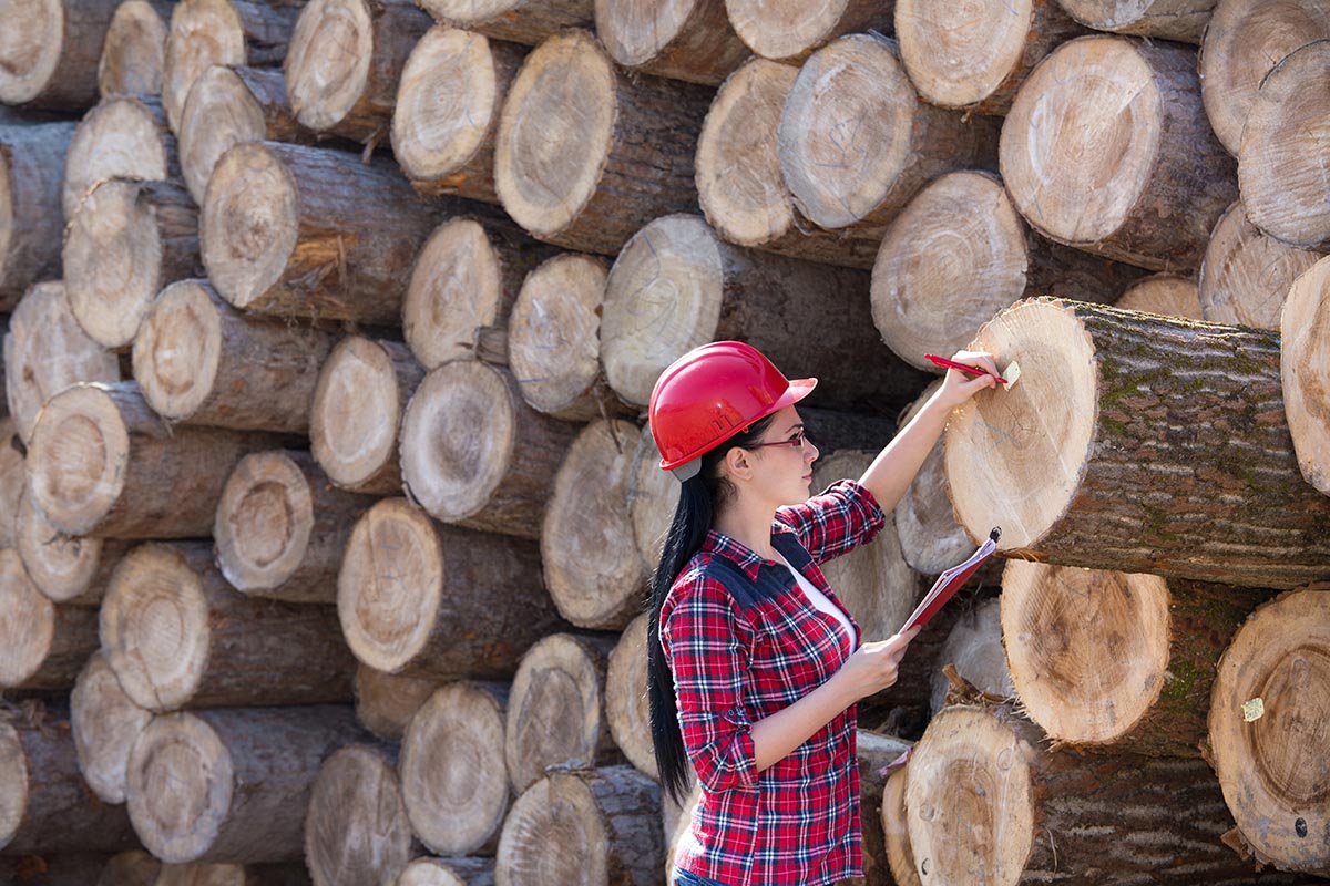 How Are Lumber Prices Affecting Tall Wood Construction Industry In BC