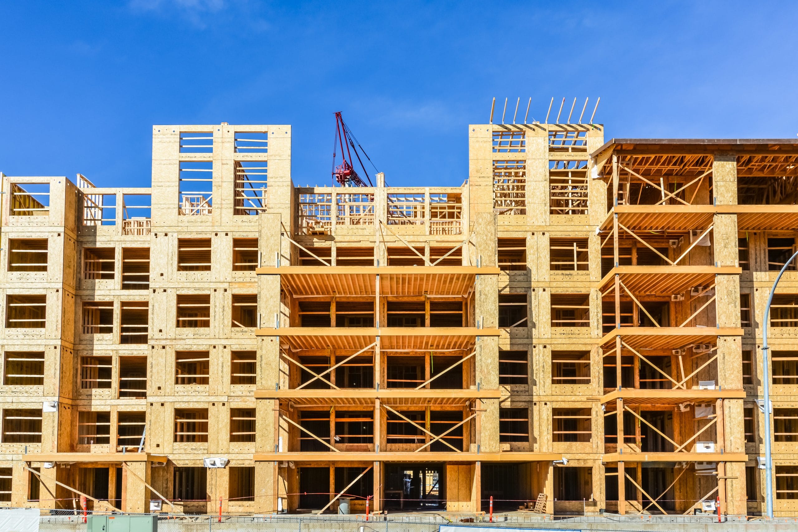 How Has the Rise of Mass Timber Construction Affected the Forestry Sector